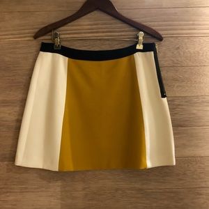 Zara Fall Colorblock Skirt